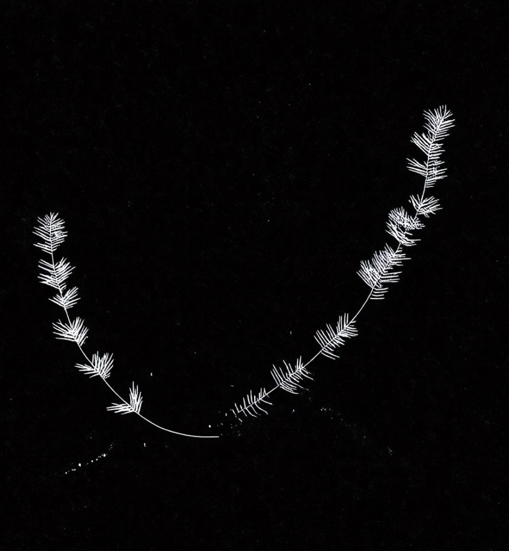 People Come, People&nbsp;Go